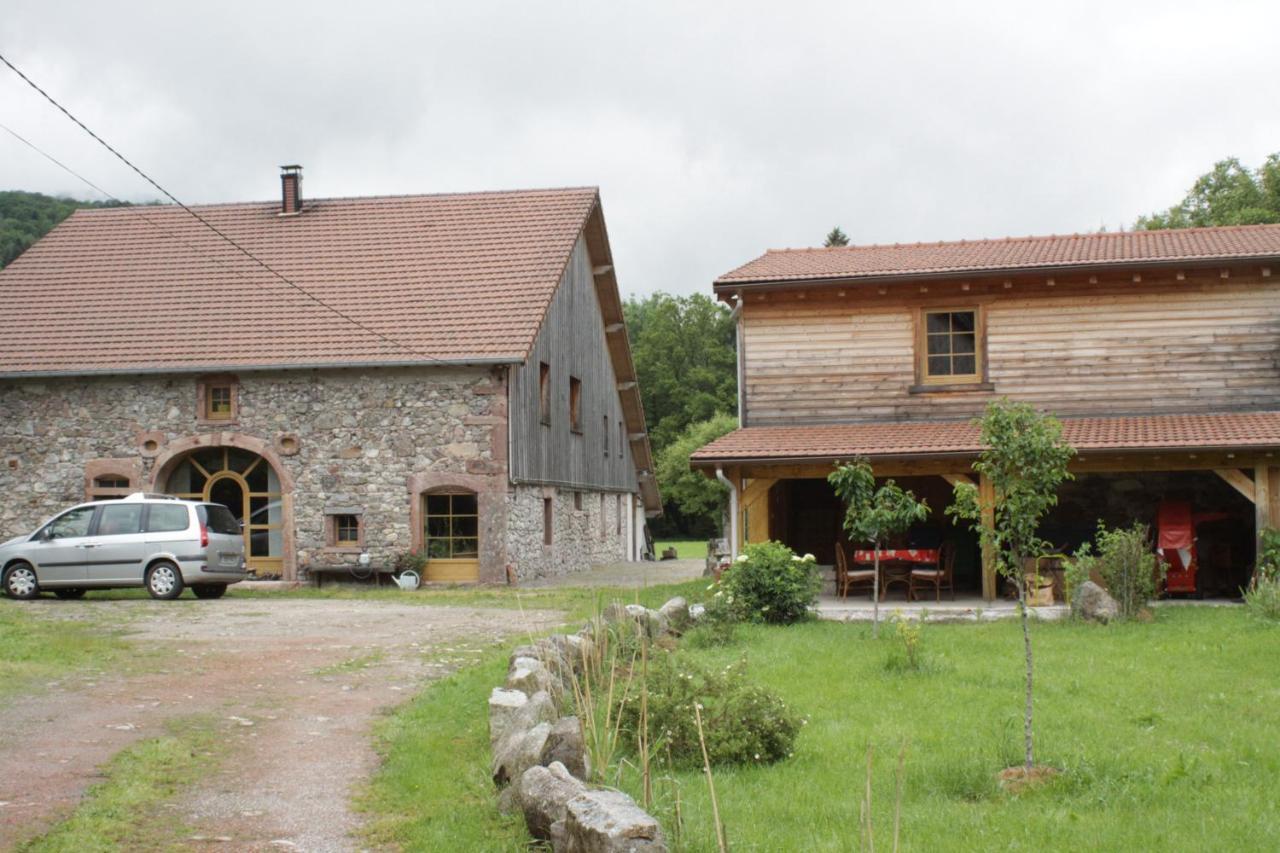 Gites Typiques Au Coeur Des Hautes Vosges Saulxures-sur-Moselotte Экстерьер фото