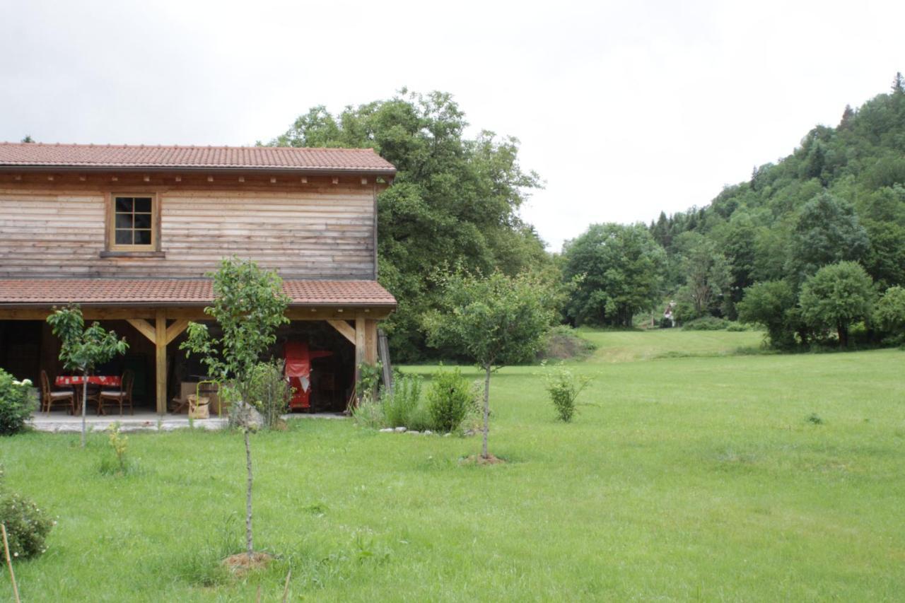 Gites Typiques Au Coeur Des Hautes Vosges Saulxures-sur-Moselotte Экстерьер фото